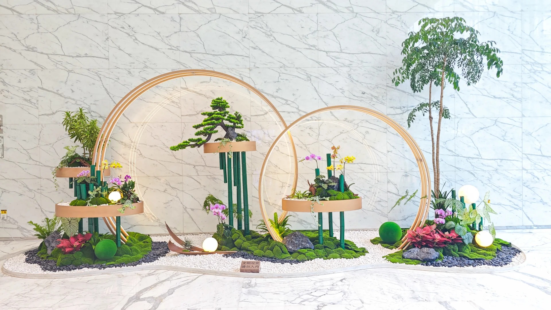 了解宁波花木租赁方案,畅享清新自然空间